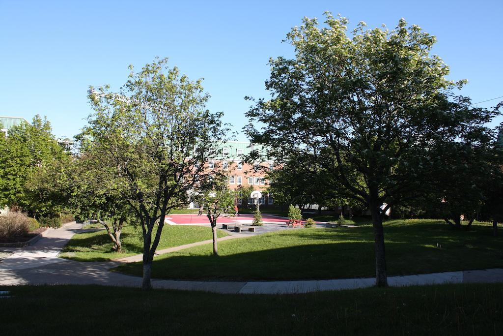 圣约翰斯 纪念大学旅馆酒店 外观 照片